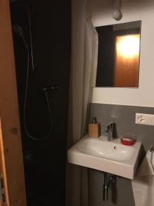 Lumbrein阿里皮纳尔酒店的一间带水槽、淋浴和镜子的浴室