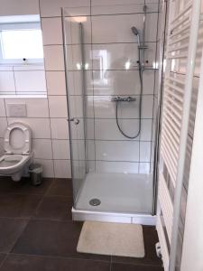 普尔海姆Abtei Apartment Brauweiler的带淋浴和卫生间的浴室