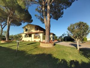 卡斯蒂里昂纳·德拉佩Agriturismo - B&B L'Acquacotta的前院有树的房子