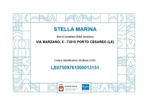 切萨雷奥港Stella Marina的一张几何图案的签证卡标签