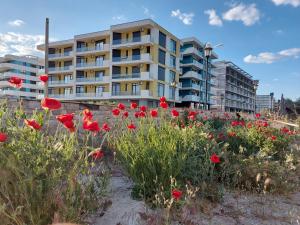 北马马亚-讷沃达里Holiday Apartment Mamaia Nord的一座建筑前的红花田