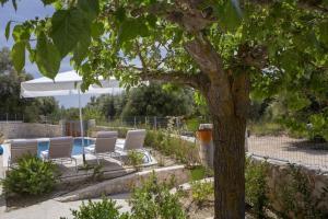 瓦西利基Villa Del Mar的游泳池旁一棵带躺椅的树