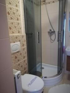 波莫瑞地区卡缅Hotel pod Muzami的带淋浴、卫生间和盥洗盆的浴室