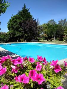 维亚纳堡Casa da Reina的游泳池前有粉红色的花朵
