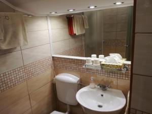 索普隆维拉格公寓的一间带水槽、卫生间和镜子的浴室