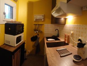 莱索尔Studio Le Boussolenc的厨房配有水槽和台面上的微波炉