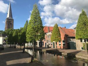 Maasland马斯朗德住宿加早餐旅馆的河边的一群树木,有教堂