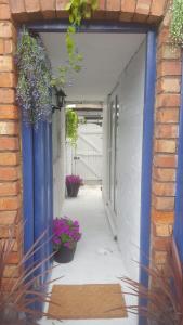 布莱克浦Atlantic cottage的一条种有盆栽植物的小巷和一扇蓝色的门