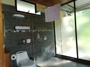 蒙泰韦尔德哥斯达黎加La Guayaba Monteverde的一间带卫生间和玻璃淋浴间的浴室