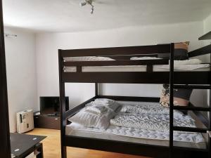 伏尔塔瓦河畔利普诺Apartmán Romance的客房内的两张双层床