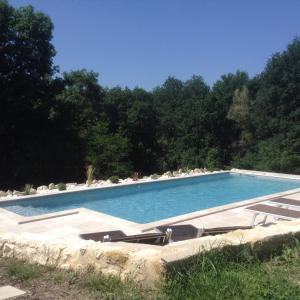 Lignan-de-Bordeaux多麦恩山谷住宿加早餐旅馆的一个带躺椅和树木的大型游泳池