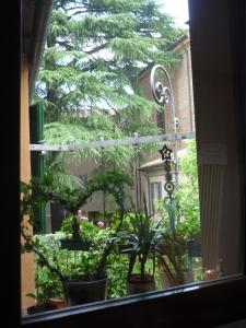 伊莫拉Il Giardino Segreto的种有盆栽植物和树的窗户