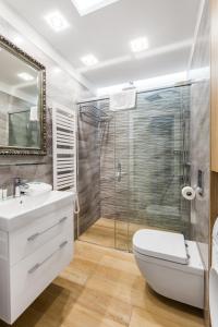 格但斯克Happy Stay OldNova Deluxe Apartment 366的带淋浴、卫生间和盥洗盆的浴室