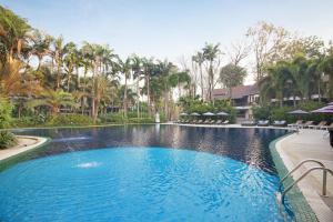 塞友北碧府美達渡假村的一座拥有蓝色海水和棕榈树的游泳池