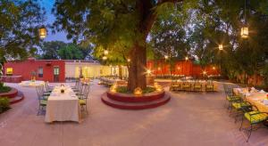 萨瓦伊马多普尔Sawai Madhopur Lodge - IHCL SeleQtions的庭院配有桌椅和一棵树