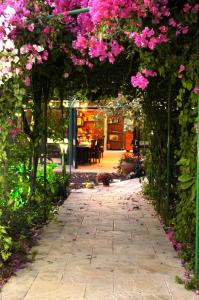 Arbel阿贝尔沙维特家庭宾馆的花园中铺着粉红色花的走道