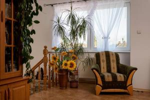 萨希诺Agroturystyka Gawryś pokoje的客厅配有椅子和花瓶