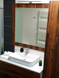 科佩尔Apartment Polonia的浴室设有白色水槽和镜子
