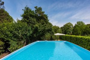 PernumiaCountry house pisani 120SQM的一个带遮阳伞和树木的蓝色游泳池