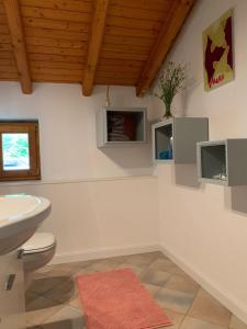 Giornico古洛特佩尔古拉住宿加早餐旅馆的一间带水槽和卫生间的浴室