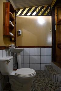 德雷克Bella Vista Corcovado的一间带卫生间和水槽的浴室