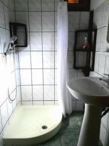 斯塔纳德瓦勒Rustic House的带淋浴和盥洗盆的浴室