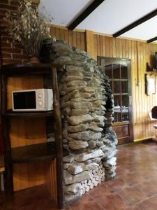斯塔纳德瓦勒Rustic House的客厅设有石头壁炉,配有微波炉