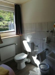 温特贝格“多福科拉格”旅馆的一间带白色卫生间的浴室和窗户。