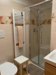 帕多瓦Bed and Room Al Fiume Piovego的带淋浴、卫生间和盥洗盆的浴室