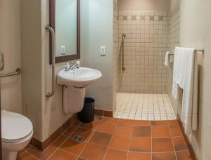 伯利恒边疆皮尔蒙特米特库尔特酒店，伯利恒的一间带水槽、卫生间和淋浴的浴室