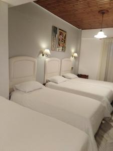 特尔斐克鲁罗斯酒店的配有白色床单的酒店客房内的两张床