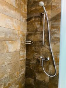 波尔塔瓦Status Hotel的带淋浴的浴室(带木墙)