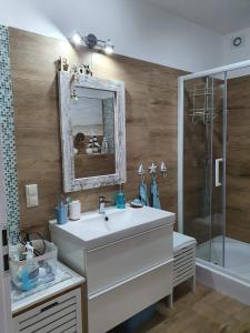 波别罗沃Apartament Bursztyn的一间带水槽、淋浴和镜子的浴室