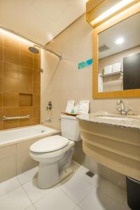 圣罗莎Microtel by Wyndham South Forbes near Nuvali的一间带卫生间、水槽和镜子的浴室