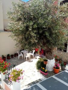 毕达哥利翁Αrgo Studios的庭院里种着一棵树,有椅子和鲜花