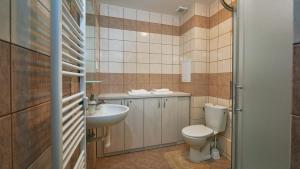 塔查斯卡-鲁穆尼卡Holiday apartment High Tatras的一间带卫生间和水槽的浴室