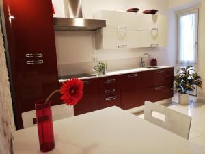 阿科Althamer Palace Apartments的红色花瓶里的一个红色花 ⁇ 的厨房