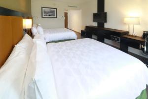 坦皮科坦皮科-阿尔塔米拉假日酒店的酒店客房设有两张床和电视。