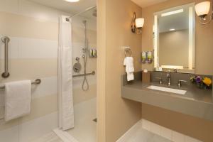 波特兰Staypineapple, Hotel Rose, Downtown Portland的一间带水槽和淋浴的浴室