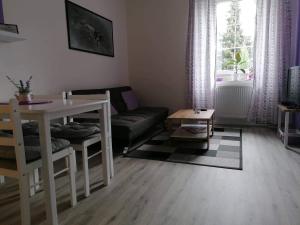 拉贝河畔乌斯季Olsinky的客厅配有沙发和桌子