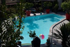 尼姆四只熊住宿加早餐旅馆的院子里种有植物的游泳池