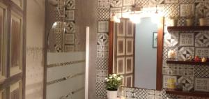 卡里拉Apartamento Oliver的浴室设有镜子和台面上的植物