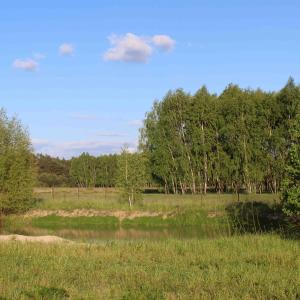 BorzychyEurostruś - zoo, domki的一片田野,池塘的背景是树木