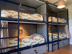 丹佛小鱼旅舍的宿舍间设有两张双层床,