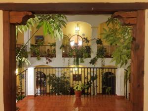 波加拉Hospedium Hotel Val de Pinares的墙上植物的建筑物入口