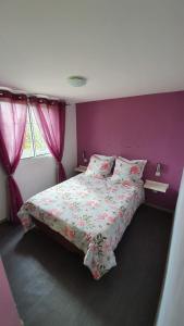 卡夫尔高原Villa de charme - la plaine des cafres的一间卧室配有一张紫色墙壁的床