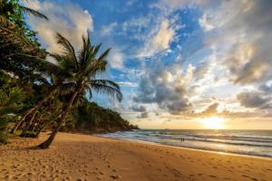奈通海滩Andaman White Beach Resort - SHA Plus的日落时在海滩上种植棕榈树