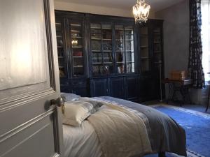 Mouchamps赛德小城堡的一间卧室配有一张床和一个吊灯