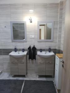 鲍科尼贝尔Bakonybél Nefelejcs Vendégház的浴室设有2个水槽和镜子