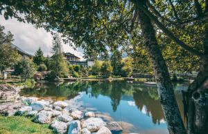 霍赫克尼希山麓丁滕优泊古森艾姆度假酒店的公园里的一个池塘,有岩石和树木